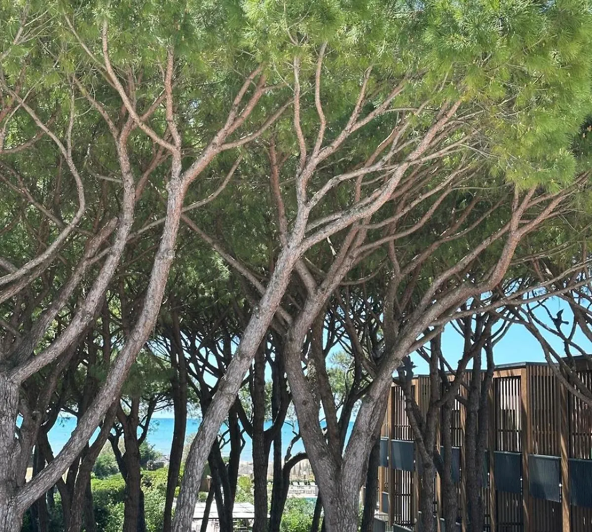 Hotel Gallia & Resort Lido di Jesolo
